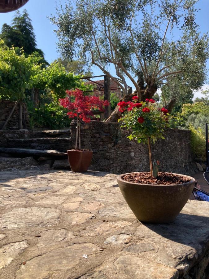カミーニャ Casa Lia Da Portaヴィラ エクステリア 写真