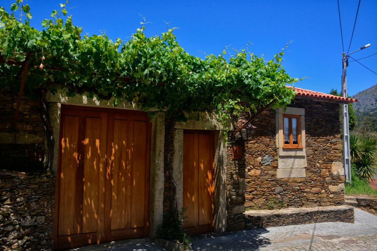 カミーニャ Casa Lia Da Portaヴィラ エクステリア 写真