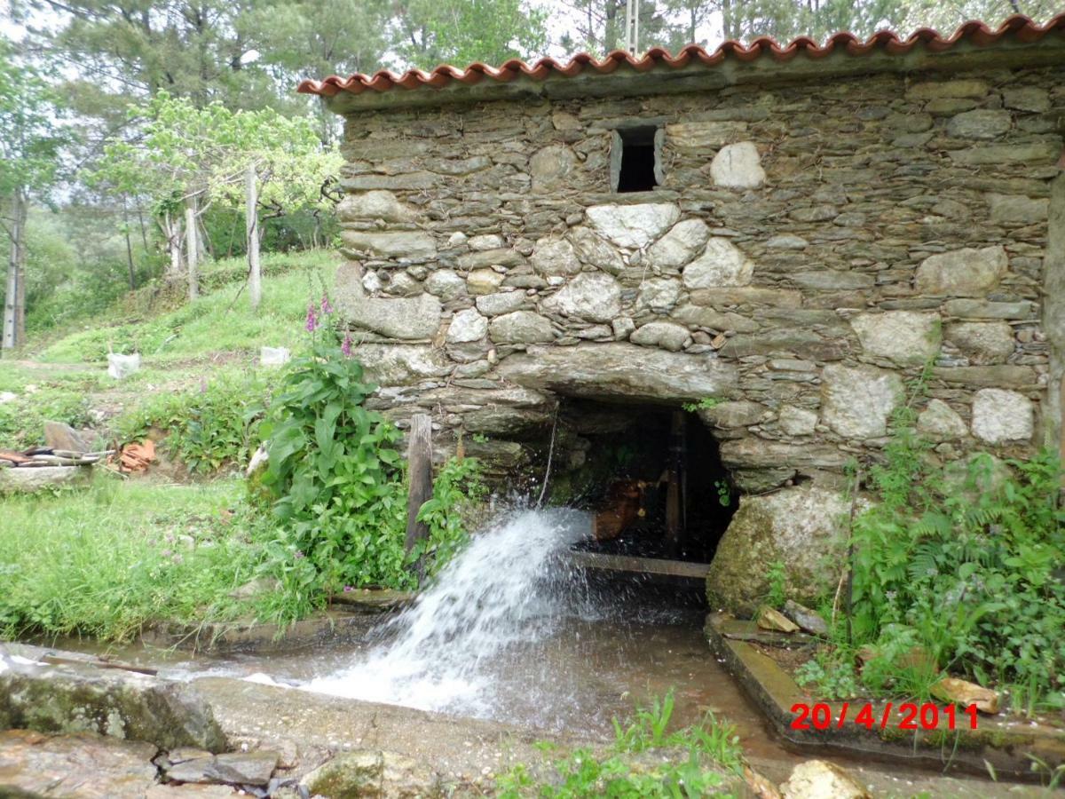カミーニャ Casa Lia Da Portaヴィラ エクステリア 写真