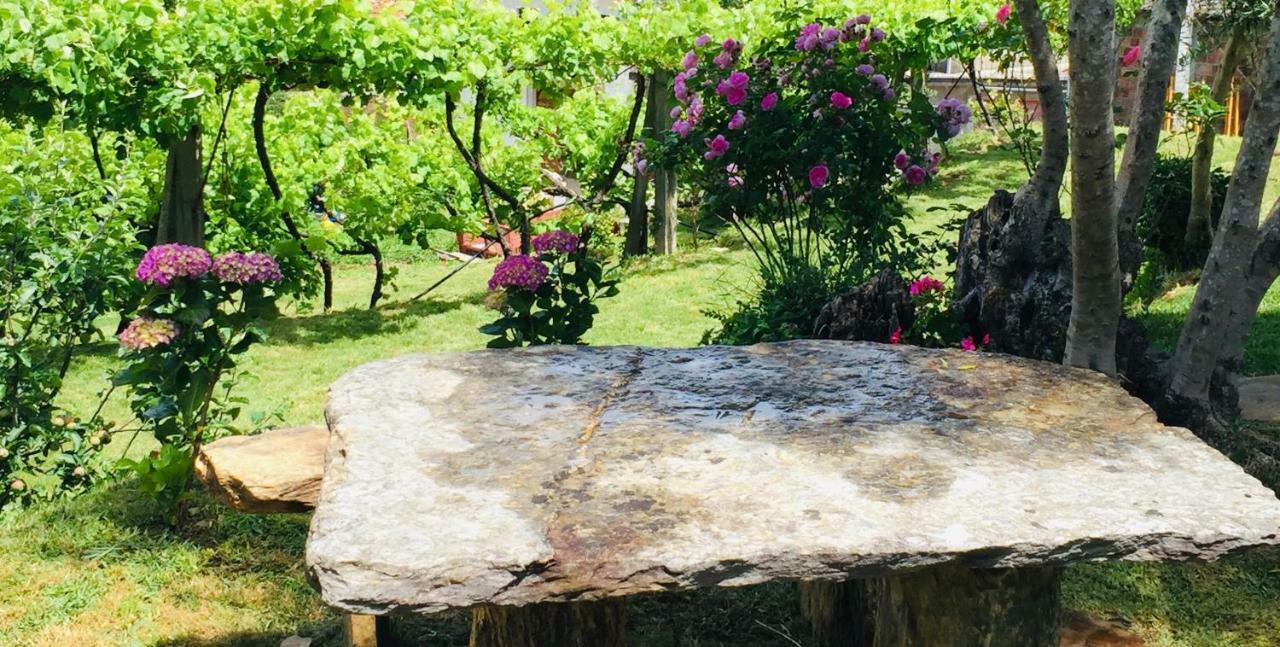 カミーニャ Casa Lia Da Portaヴィラ エクステリア 写真